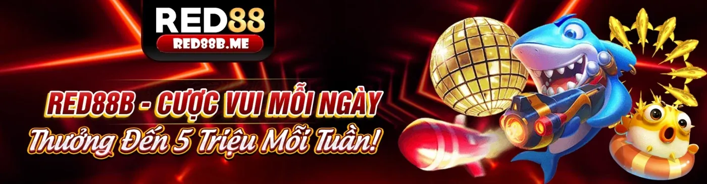 Nguồn tài nguyên toàn diện của playiwin cho cá cược trực tuyến